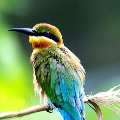 henucrypto1's profile picture. New Account Flowe Me Flowe Back 💯%
💯💯💯💯💯💯💯💯💯💯💯💯💯💯💯💯💯💯💯💯💯💯💯💯💯💯💯💯💯💯💯💯