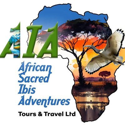 PollineB53025's profile picture. we give you comfortable Airbnb, hiring cars, Safaris,Domestic trips,regional tours,Air ticketing and much more