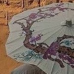 oblique2008's profile picture. they're gonna crucify me anyway