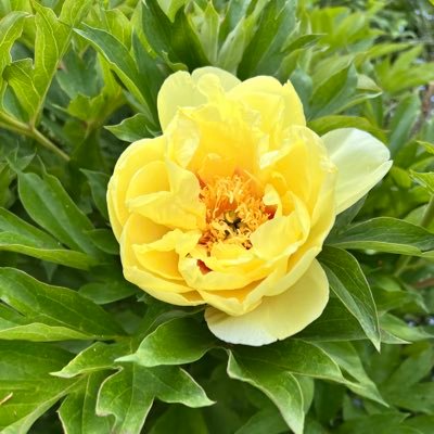 robdavidson74's profile picture. 