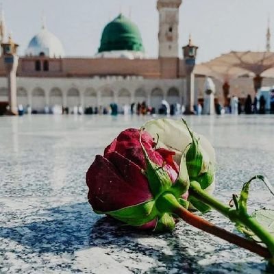 SRajasaab327442's profile picture. 