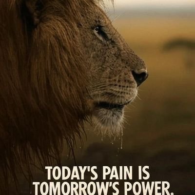 GibrimaOladoja's profile picture. Botanist//Forex trader// Technical analyst//Crypto enthusiast// seasoned investor.