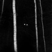 ึดึถึธ (@lurk1ngwoods) 's Twitter Profile Photo ึดึถึธ (@lurk1ngwoods) 's Twitter Profile Photo