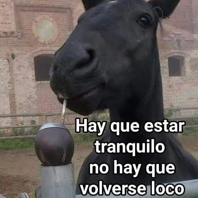 que_chabon's profile picture. Luis Fernandez