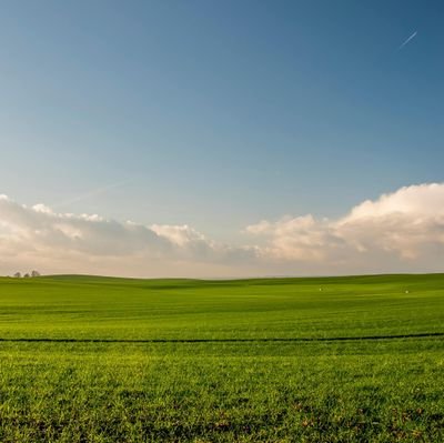 MidClassFinance's profile picture. Only goal is self-improvement through knowledge.