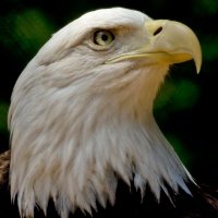 Shannon R Case (@caseshanno23203) 's Twitter Profile Photo Shannon R Case (@caseshanno23203) 's Twitter Profile Photo