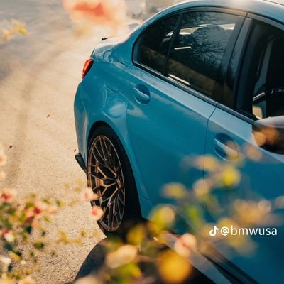 fadeellul14's profile picture. 