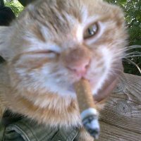 Skarnûth (@skarnuth333) 's Twitter Profile