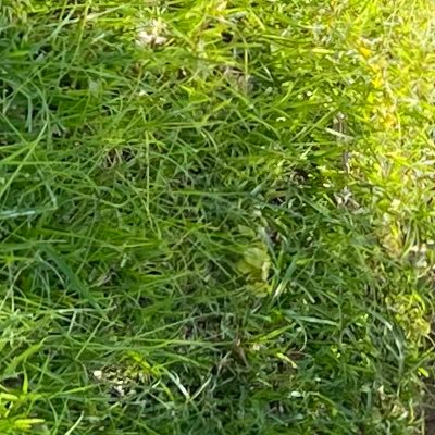 ezra_western's profile picture. 