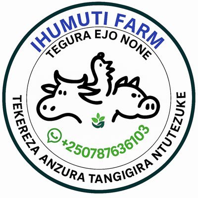 ihumuti's profile picture. Mixed farming company aimed to promote the wellbeing of the Population through modern Farming.
Tekereza cyane-Fata umwanzuro-Tangira ukore-Ntucike intege
