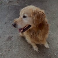 Jona (@jonacurbelo) 's Twitter Profile