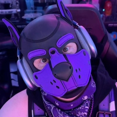 PupCodySF's profile picture. 🐾 Affable Alpha • Top/Side  | 🎮 Producer by day | Raver pup by night 👩‍🎤