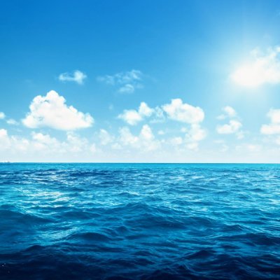 Flamingooo_X's profile picture. 