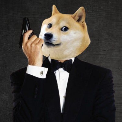 The names Dog, Doge Dog. DOG Secret Intelligence Service. for all the doges 🐾