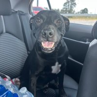 Radsterr (@radikrastev) 's Twitter Profile Photo