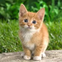 ريم عمران (@reem83716) Twitter profile photo