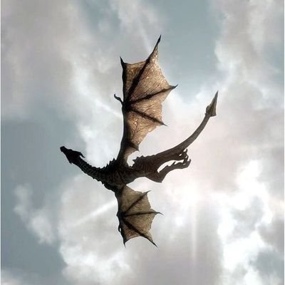 Balerion8rk's profile picture. RK