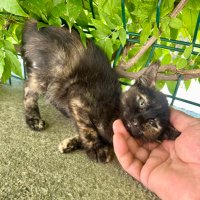 Aydın (@cheodtu) 's Twitter Profile Photo