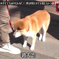 もりもり山 (@bfmotp) 's Twitter Profile Photo もりもり山 (@bfmotp) 's Twitter Profile Photo