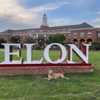MAGA ELON (@maga_el_on2) 's Twitter Profile
