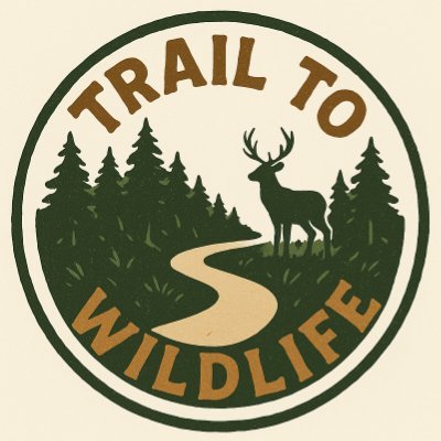 Amateur wildlife photographer, own a trail camera, Post random facts about the animals I capture... Enjoy!!