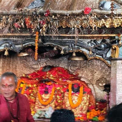 JustKill20's profile picture. dead
 ✿●
◉✿   ✿◉