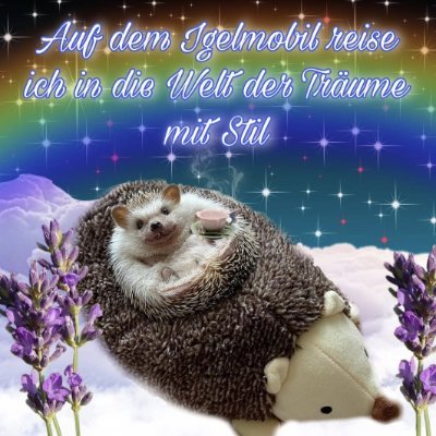 systemabc1's profile picture. 