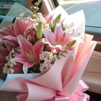 Amany Shaheen (@amanyshahe30062) Twitter profile photo