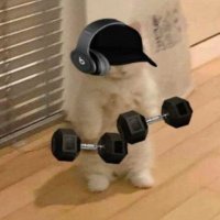 AbdChain (@web3luveer) 's Twitter Profile