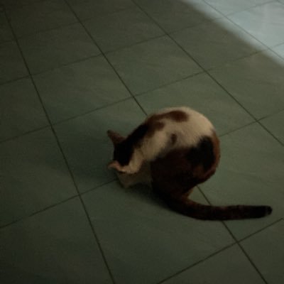 cumwong76622's profile picture. 
