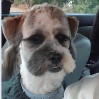 . (@golbun5) 's Twitter Profile Photo