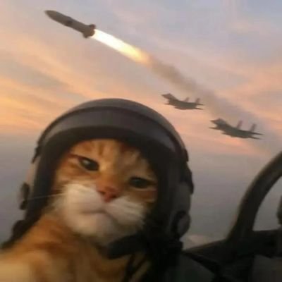 WozieWu's profile picture. 📍Gato táctico con acceso a internet.
(Deambulante de internet.)