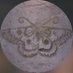 Portals Parfums Official Profile picture