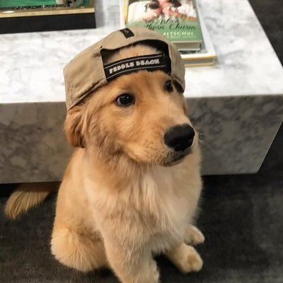 vaninonearth's profile picture. just a girl rambling about what she likes / 21