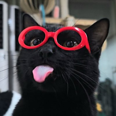 agentcarter013's profile picture. julho de 2025 é logo ali 🤩