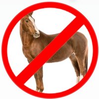 Horse Hater (@horsehater69) 's Twitter Profile Photo Horse Hater (@horsehater69) 's Twitter Profile Photo