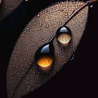 همسة حروف 💚 (@alqwzhythm37560) 's Twitter Profile Photo همسة حروف 💚 (@alqwzhythm37560) 's Twitter Profile Photo
