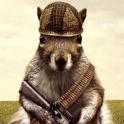 MajorCopp's profile picture. Retired USAF Cmdr, Special Operations (#AFSOC). 1981-2006. #MAGA #MAHA Voted three times for Trump.