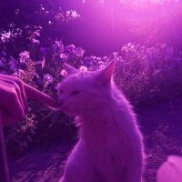 Brielle (@brielle0151) 's Twitter Profile