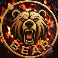 BEAR Group (@beargroup16) 's Twitter Profile