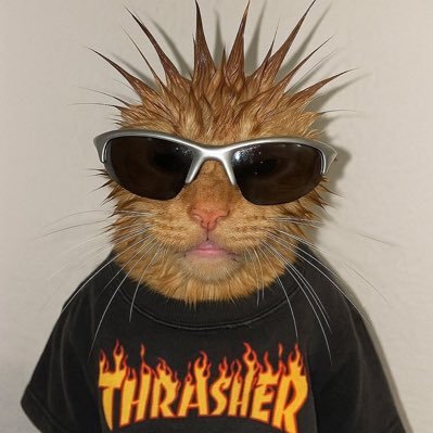 poalns1's profile picture. Art account (allegedly). Married to @eushingos. Block if you don't like. She/her, BLK