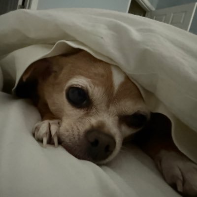 whit734521's profile picture. 