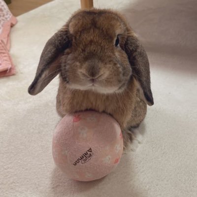 yf_al1s2x's profile picture. まったり弐寺をやるおかんです😌💓現在SP8段！主にINFINITASをしております✨