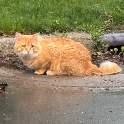 e_leo74841's profile picture. 