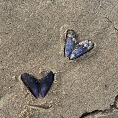 ﴿ رَبِّ اغْفِرْ لِي وَلِوَالِدَيَّ ﴾.