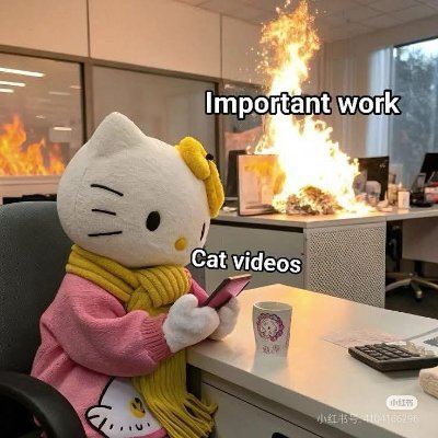 Libelo24's profile picture. Razonable.