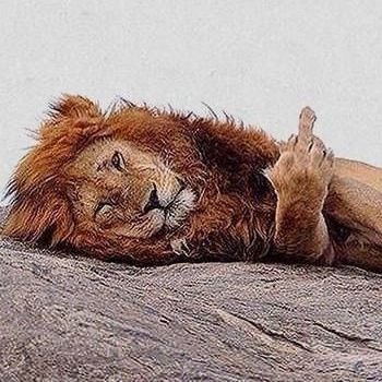 TheWhyer's profile picture. 