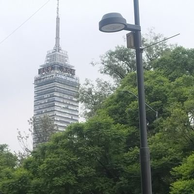 Ing. músico, docente, soy Team Beatles y 4T me gusta ver temas de politica, justicia social, ciencia, entretenimiento y un buen cafe. No DM sígueme y te sigo☺
