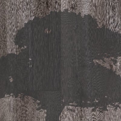CinderOak's profile picture. 