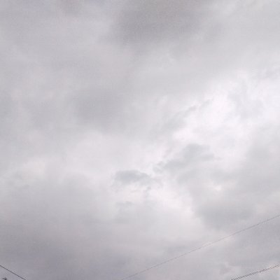 Gaman_551's profile picture. #crypto